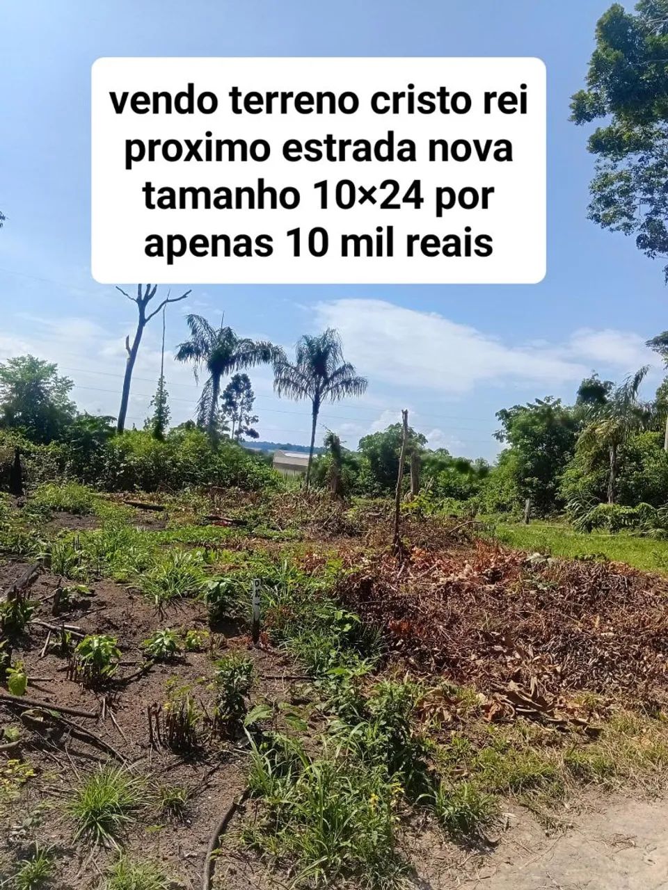 Foto - Santarém - Interventoria