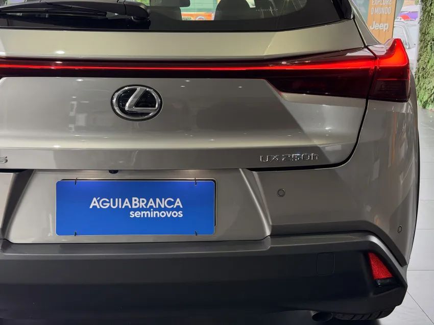 Lexus UX-250h Dynamic 2.0 16V Aut.(hybrid), foto 9 de 19
