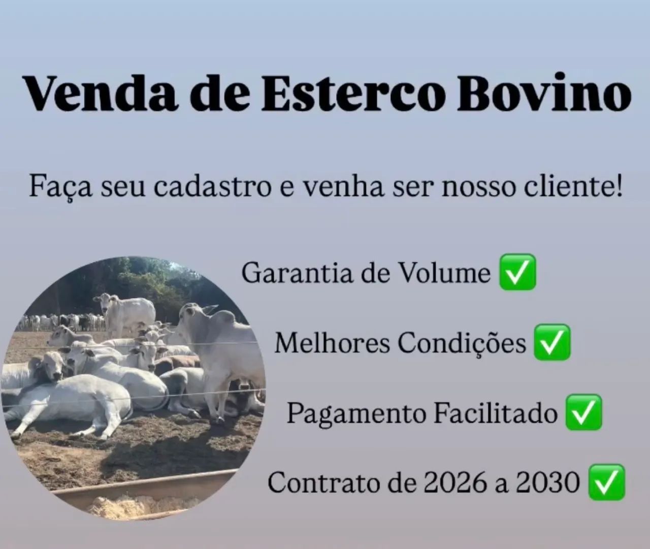Esterco Bovino Ômega