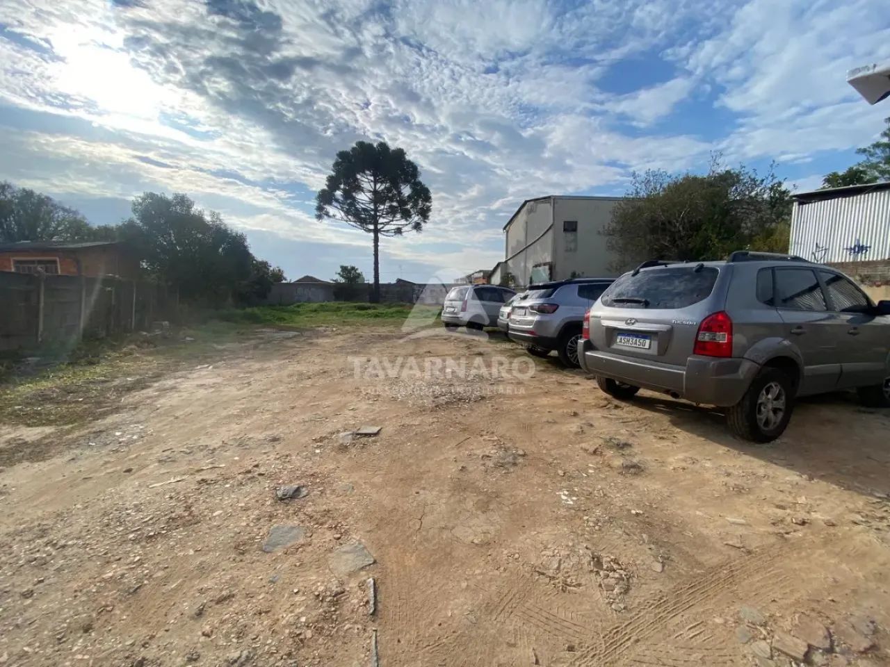 Terreno Área em Ponta Grossa - Foto 3