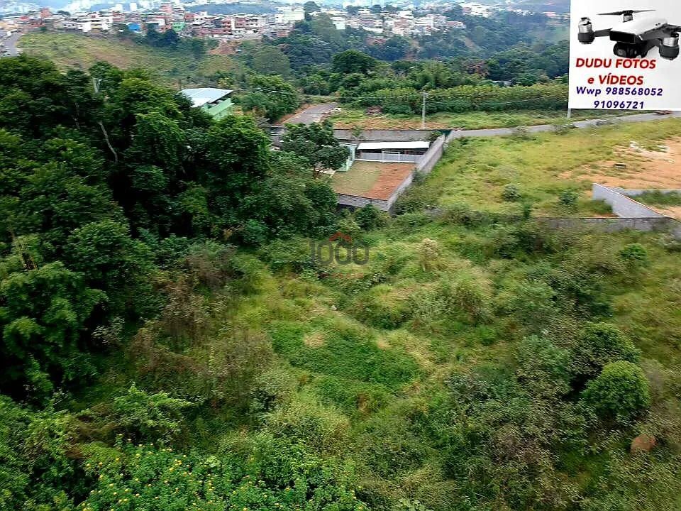 Lote / Terreno - Ipiranga - Foto 4