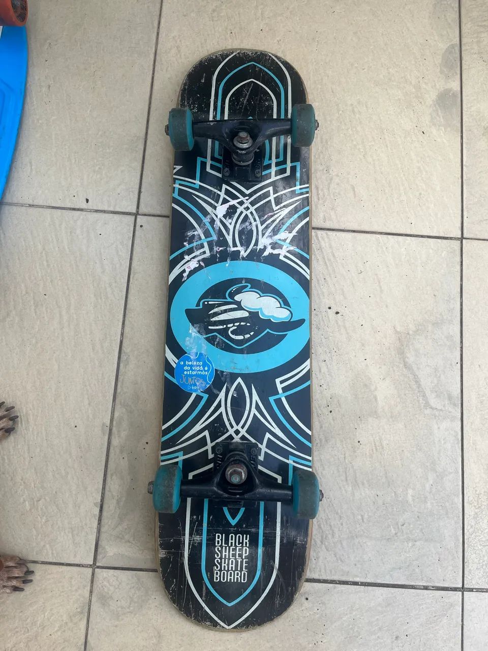 Skate profissional