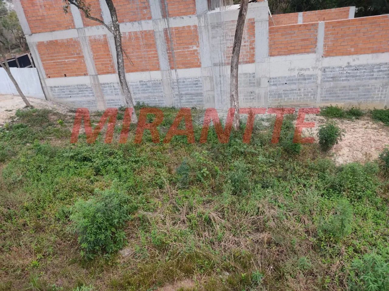 Terreno em Palmas Do Tremembé - Foto 2