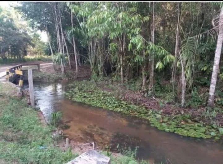 Troca-se sítio em ponto comercial,casa(região de Belém e Ananindeua) - Foto 2