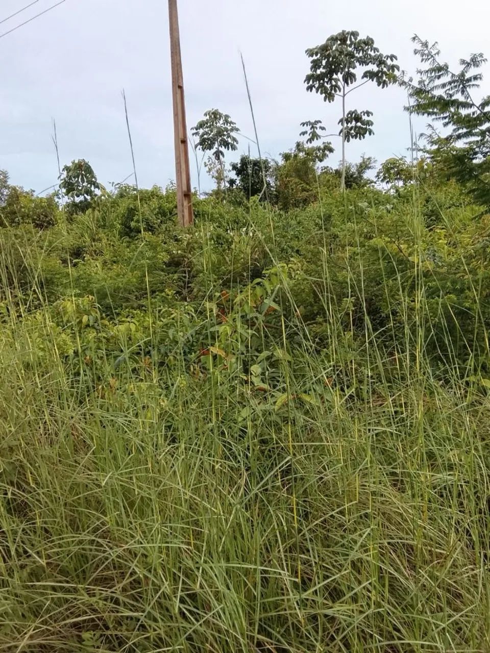 OPORTUNIDADE DE NEGÓCIO - Foto 2