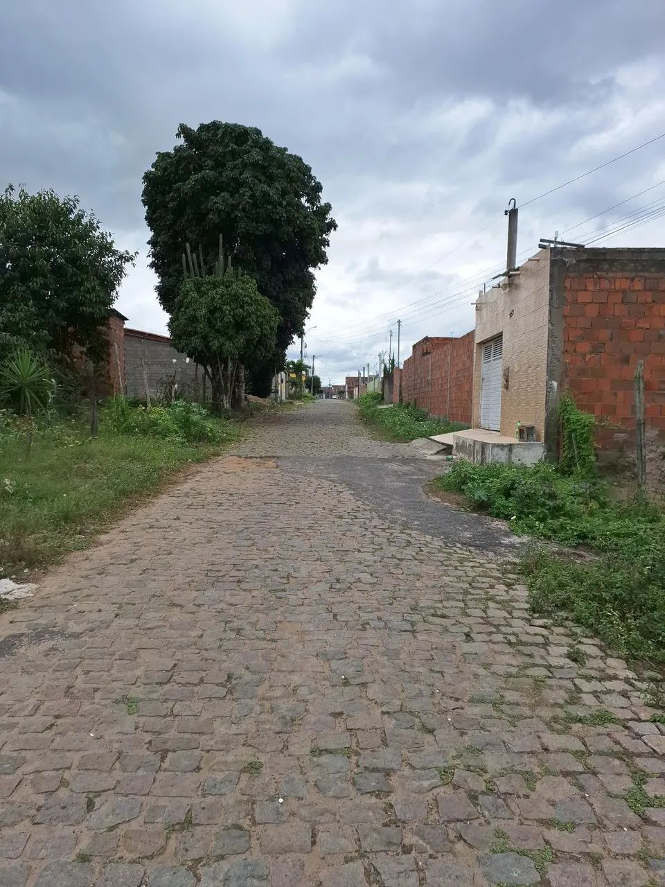 Vendo este terreno  - Foto 3
