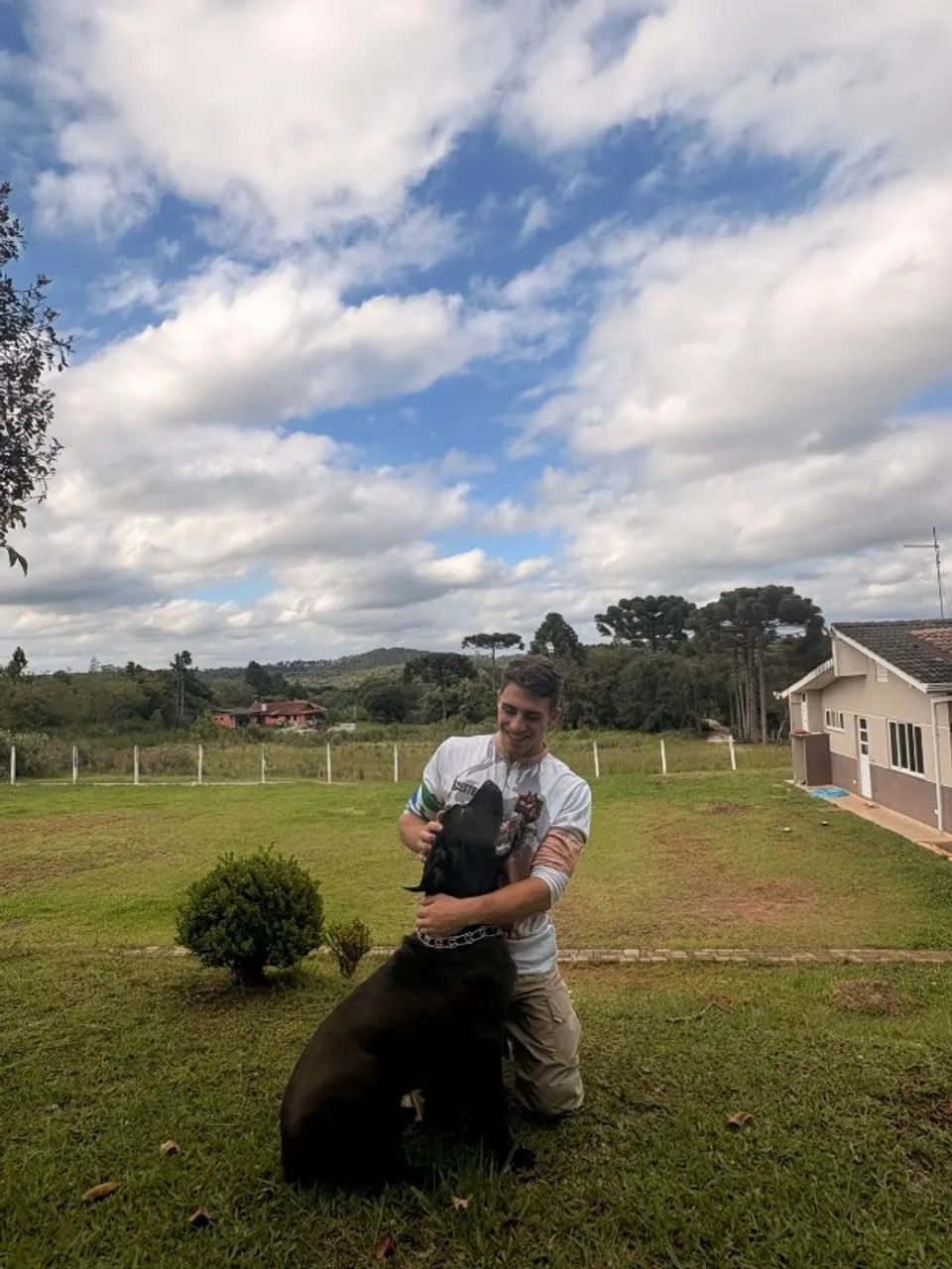 Adestrador de cães em Curitiba  - Foto 5