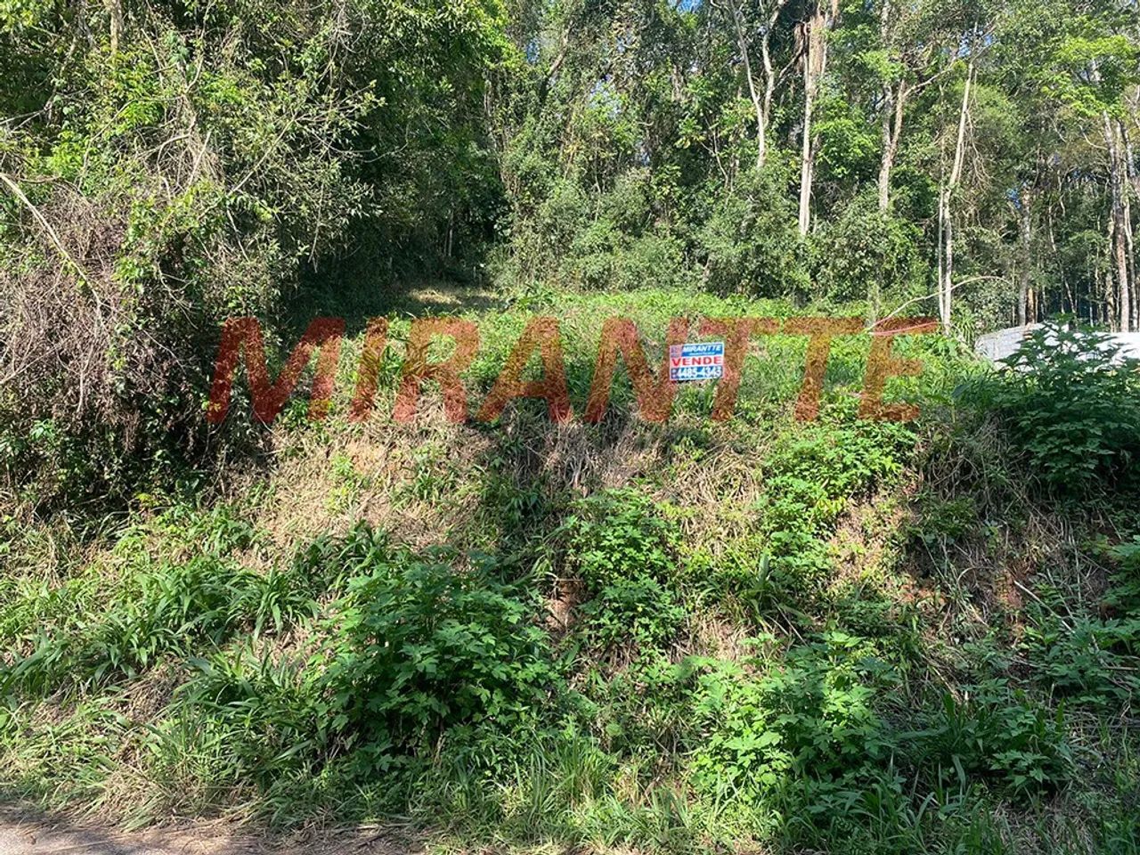 Terreno em Serra Da Cantareira - Foto 5