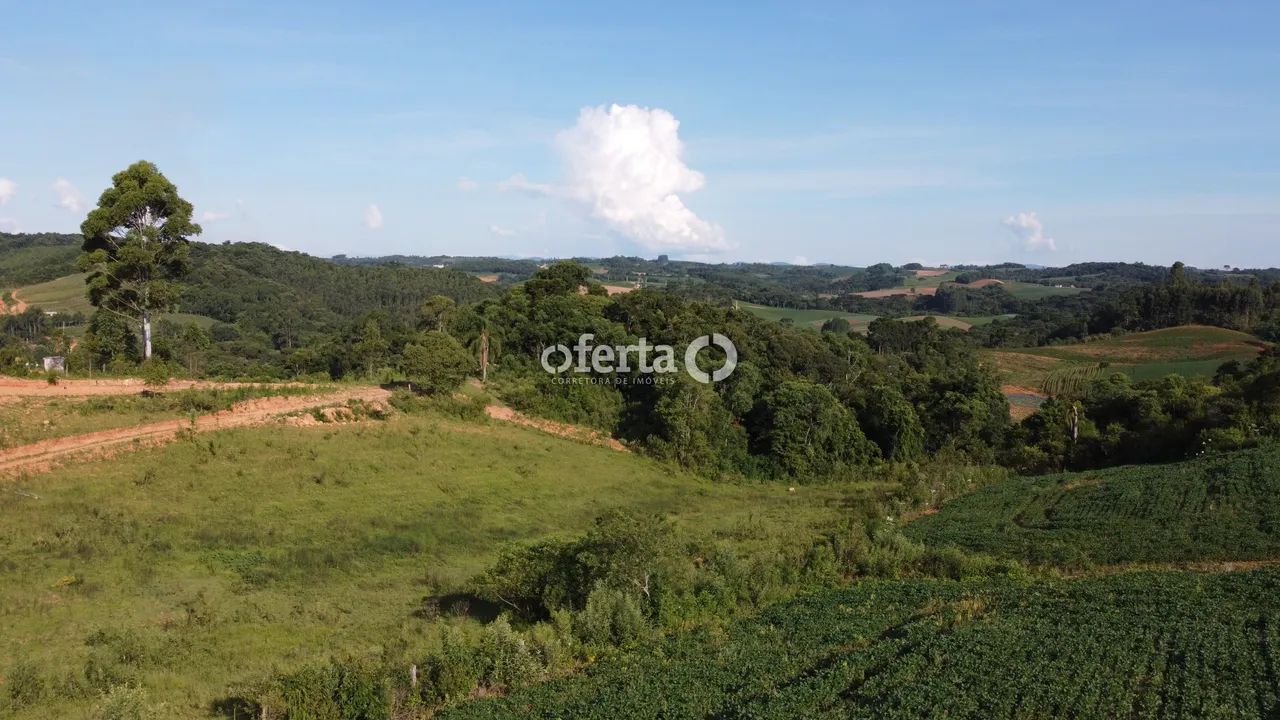 Chácara em Contenda - Foto 5
