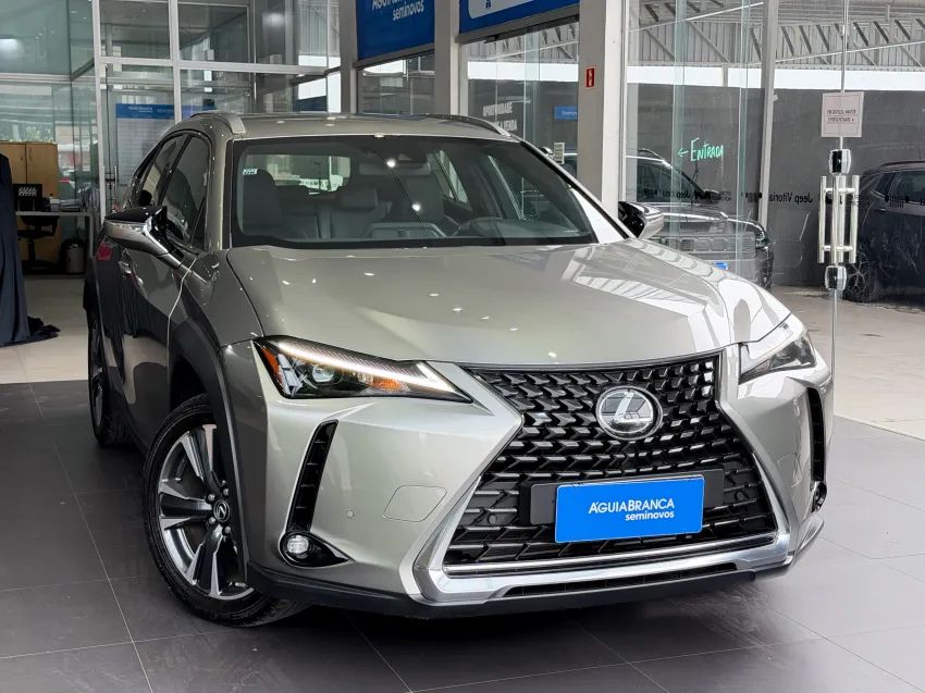 Lexus UX-250h Dynamic 2.0 16V Aut.(hybrid), foto 5 de 19