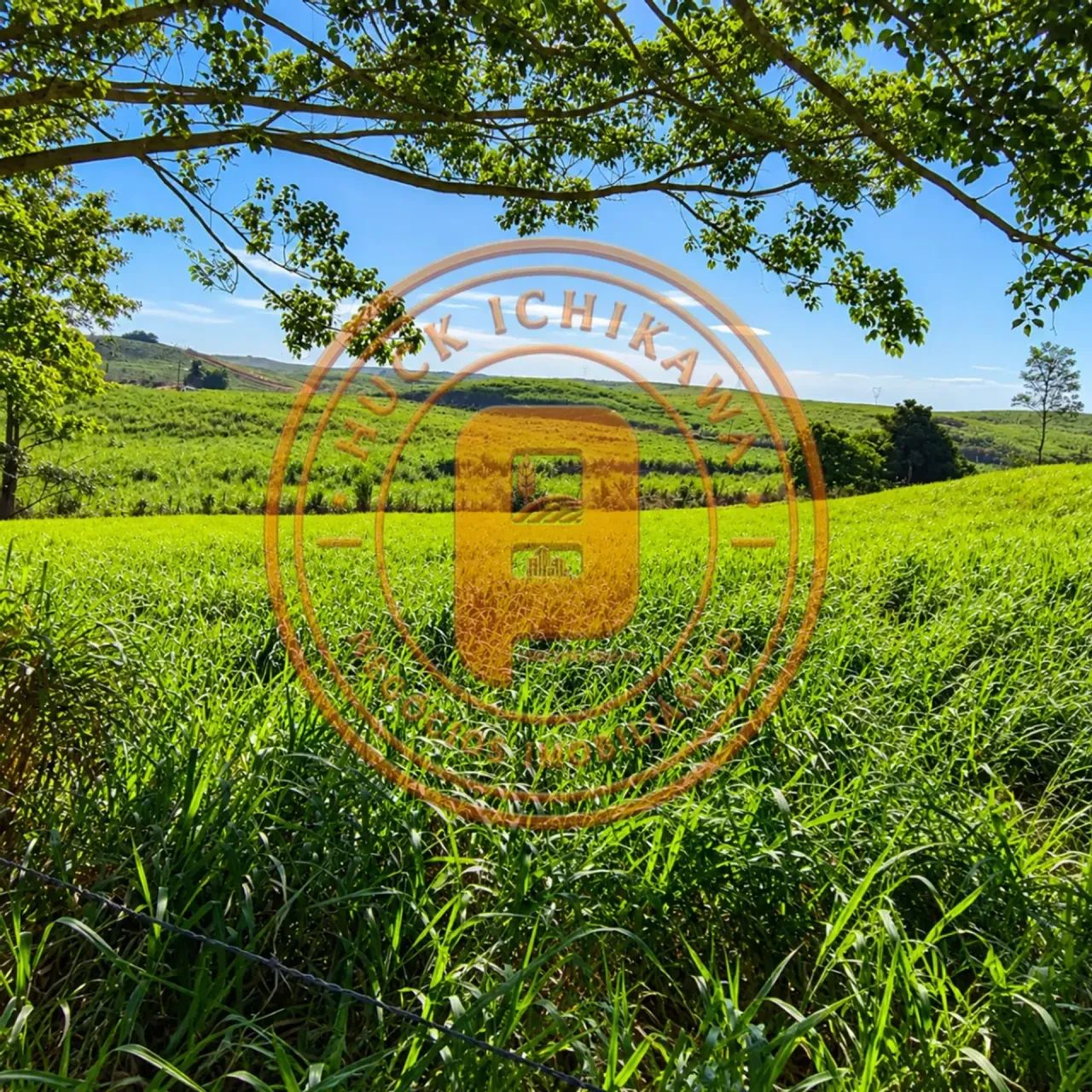 FAZENDA em MARUIM - 60 Tarefas - Foto 3