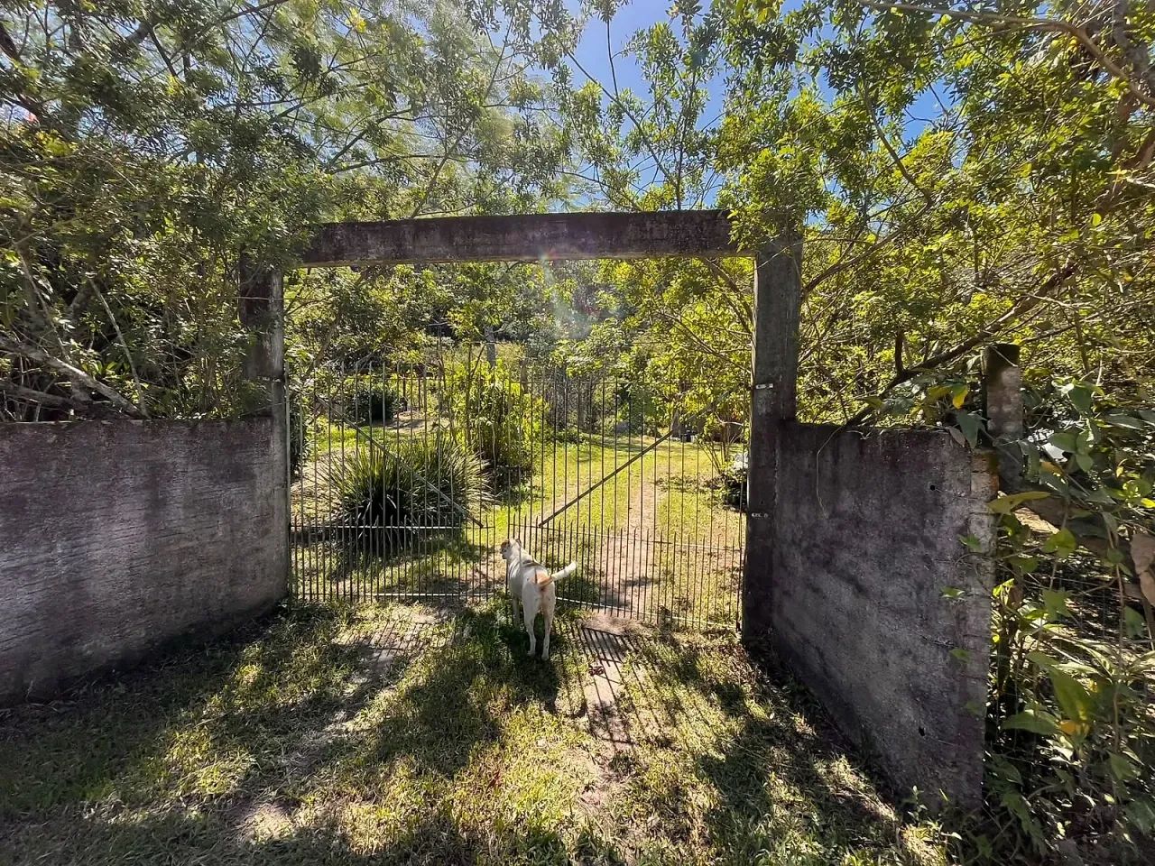 Sítio de 4.500m² com Casa e com nascente de água em Palhoça - Foto 2