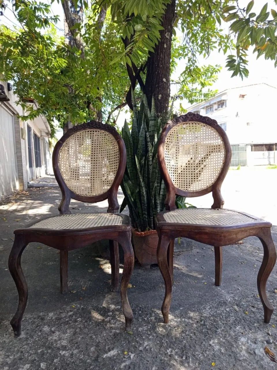 Duas cadeiras de madeira em perfeito estado