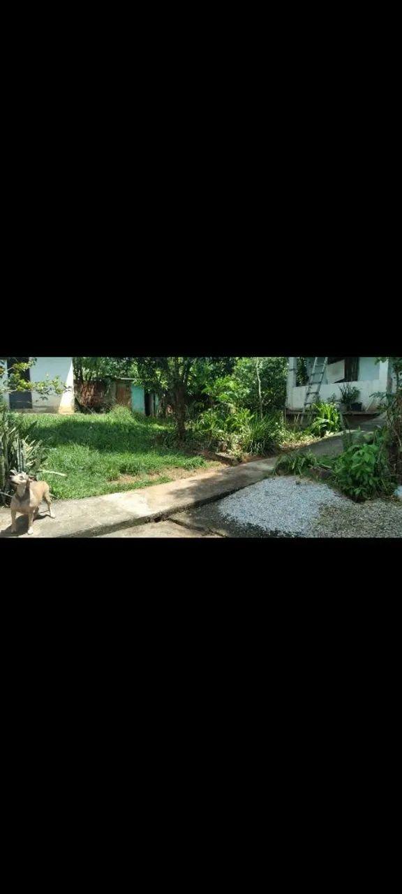 Sítio à venda  - Foto 4