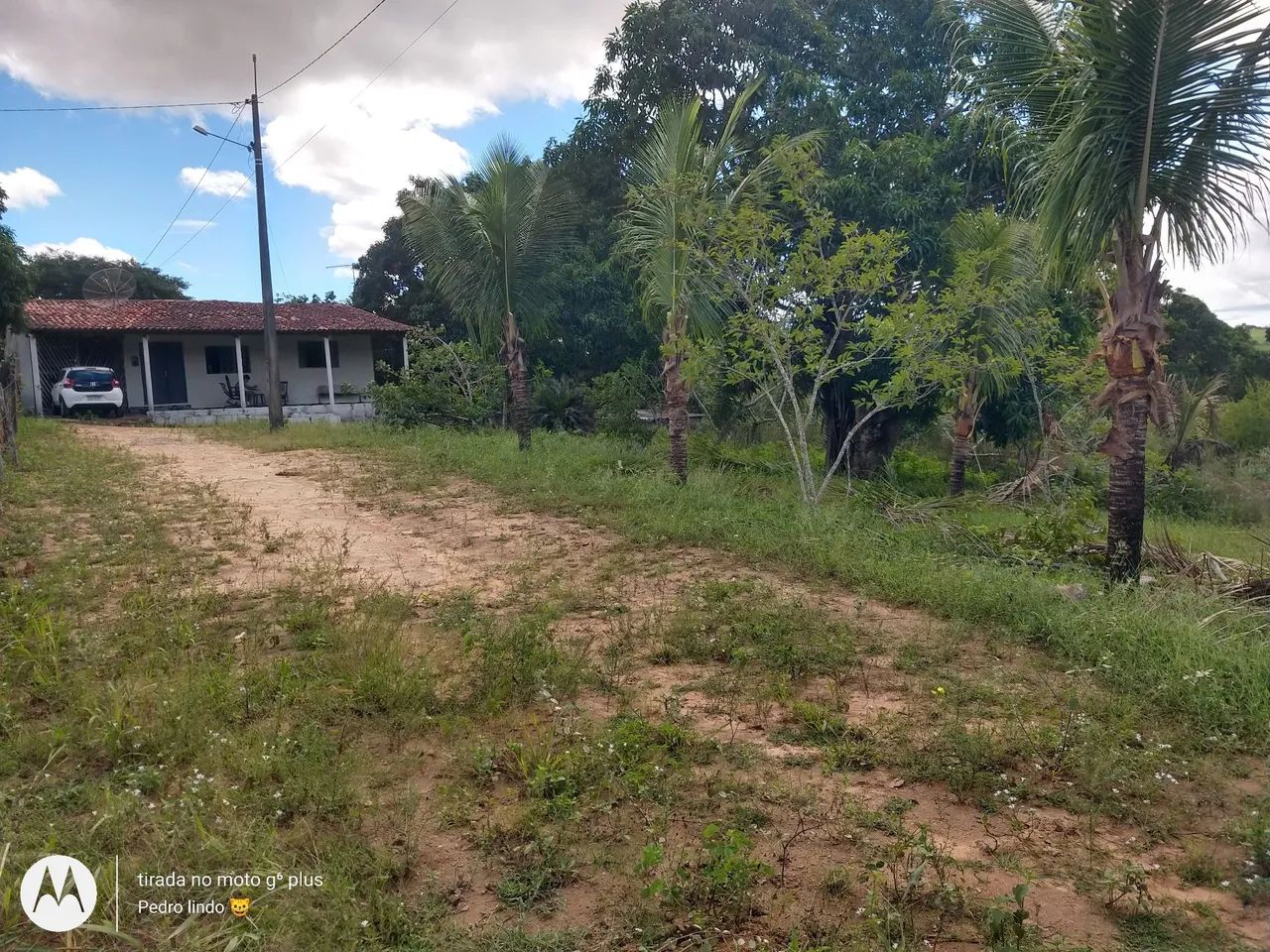 Foto - Maceió - Santa Lúcia