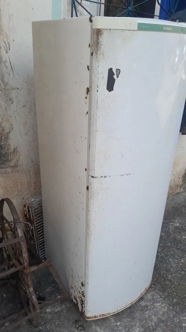 Consul palito - Foto 3