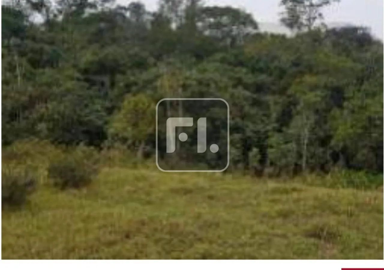 Área com grande potencial - Foto 5
