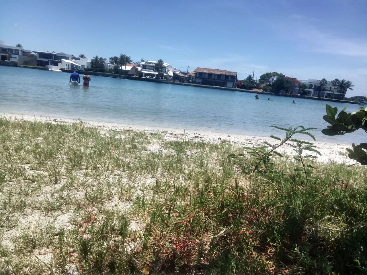 Foto - São Pedro da Aldeia - Alecrim