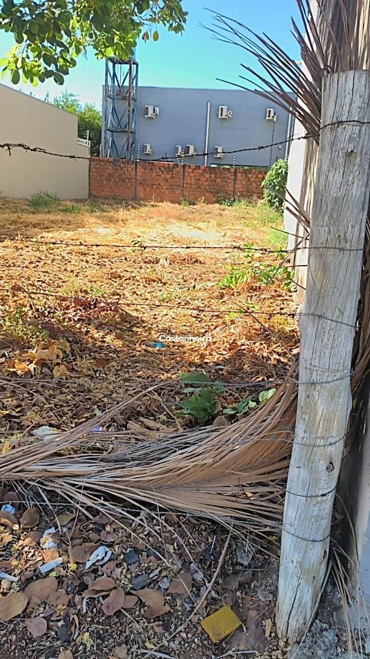 Lote Residencial - 360 m² - Plano Diretor Sul - Foto 2
