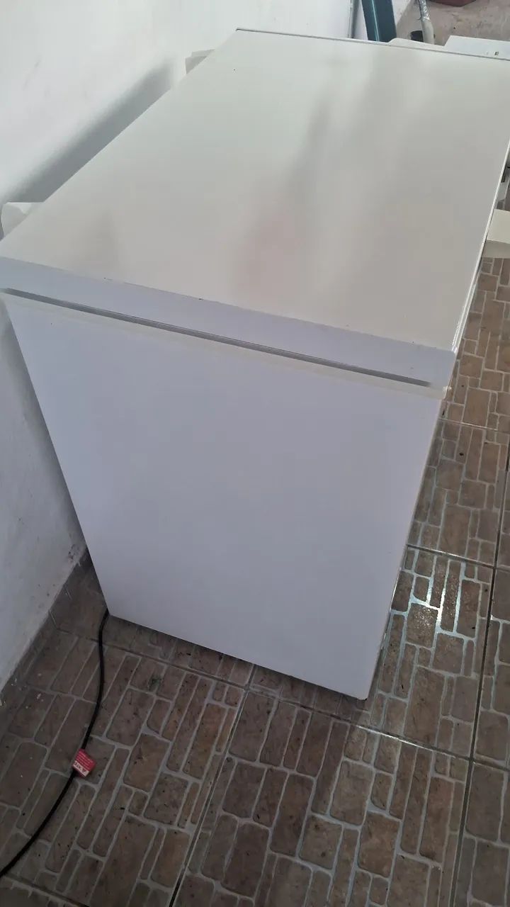Frezer Philco 199l - Foto 3