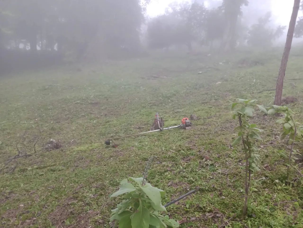 Jardineiro 