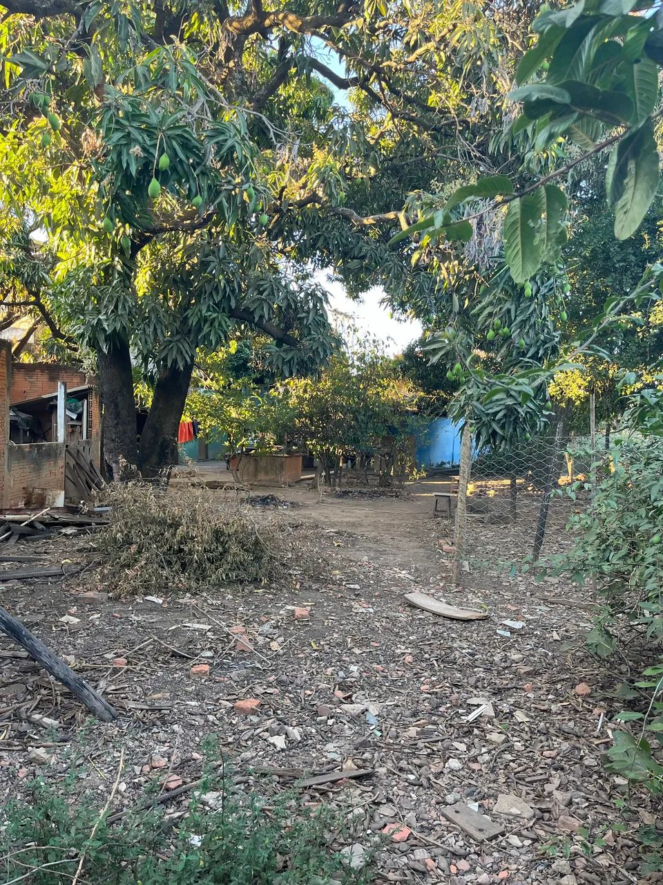 TERRENO EM BOCAIÚVA  - Foto 5