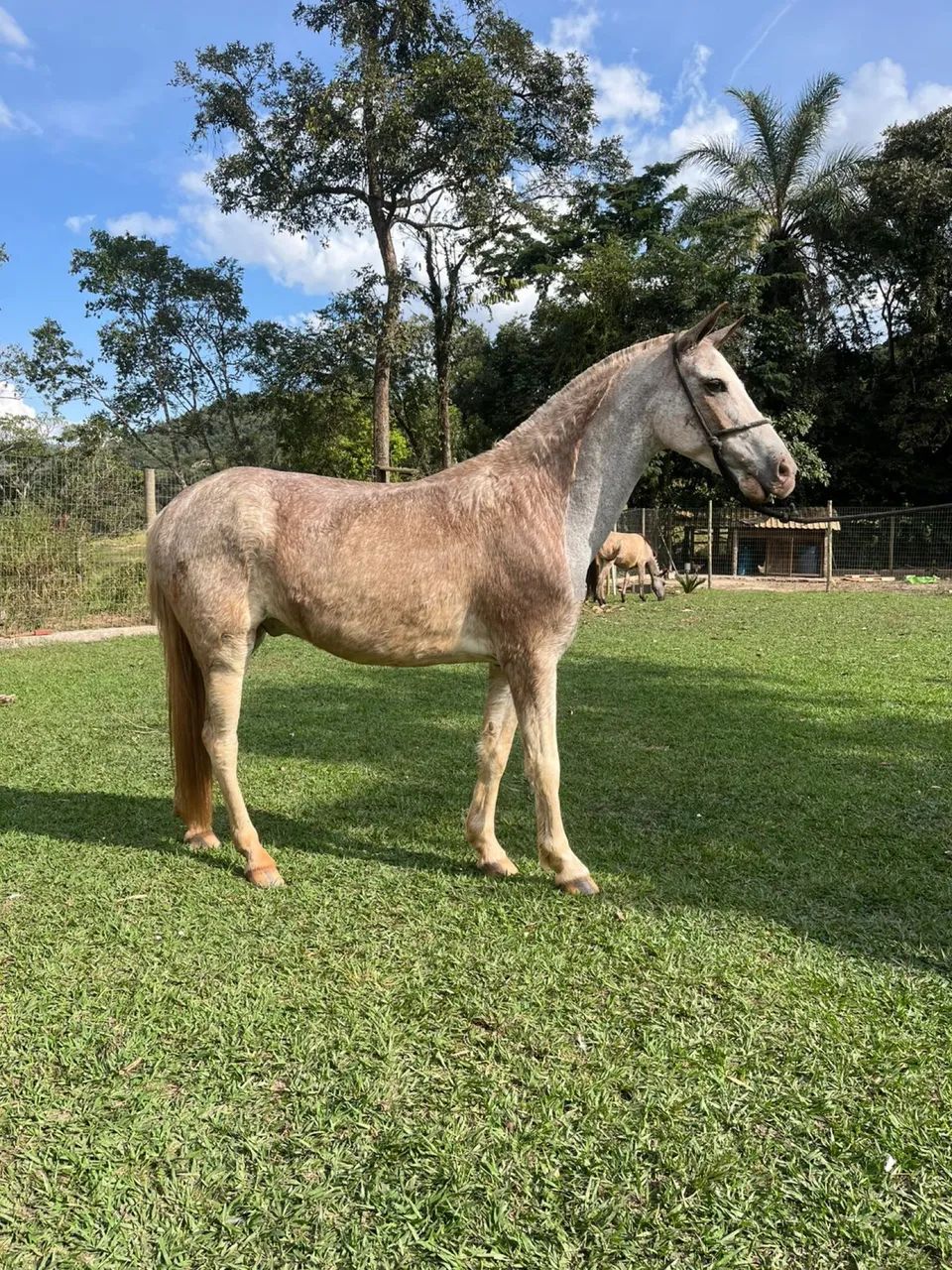 Vendo ou troco  - Foto 2