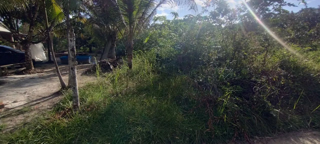 Terreno em Mosqueiro  - Foto 5
