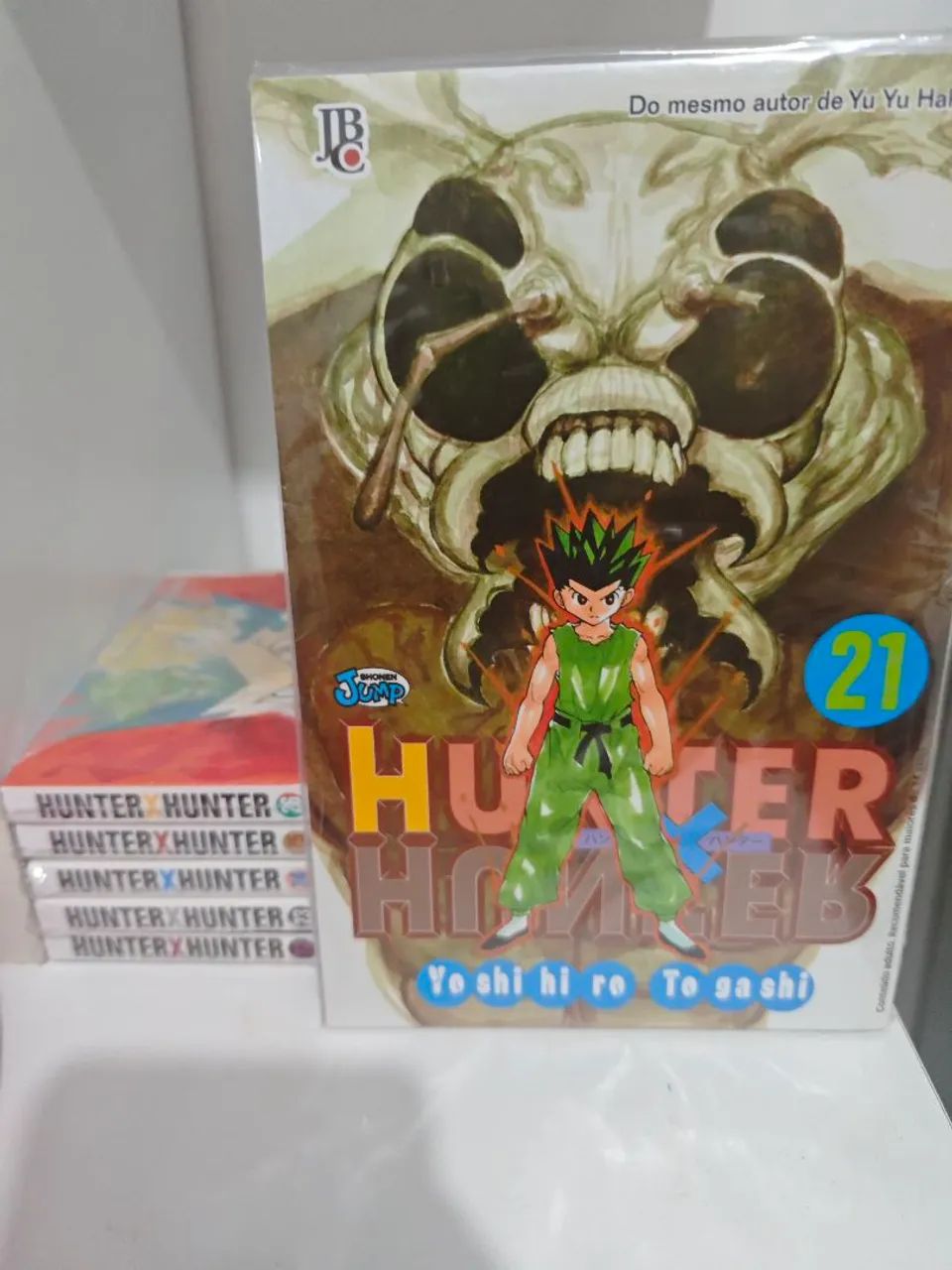 Hunter x Hunter manga volume 21 a 26