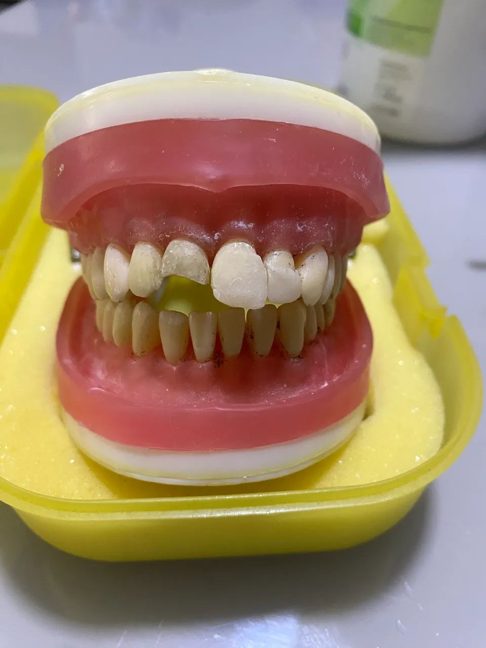 Manequim odontológico  - Foto 3