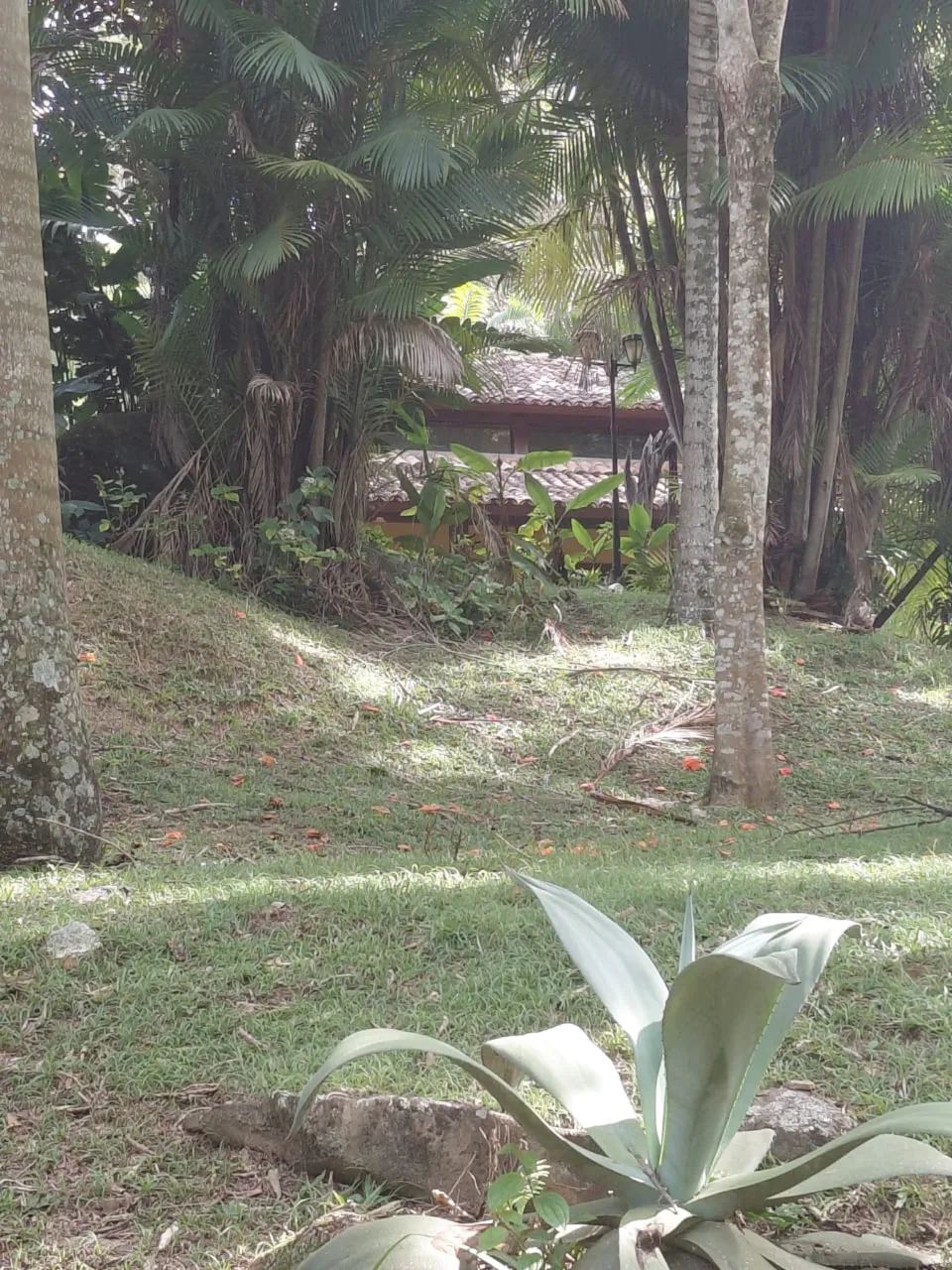 Lindo sítio em Lavras - Foto 5