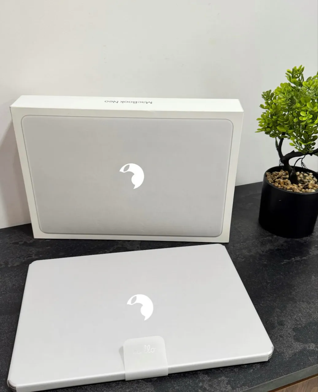 Macbook Neo 13