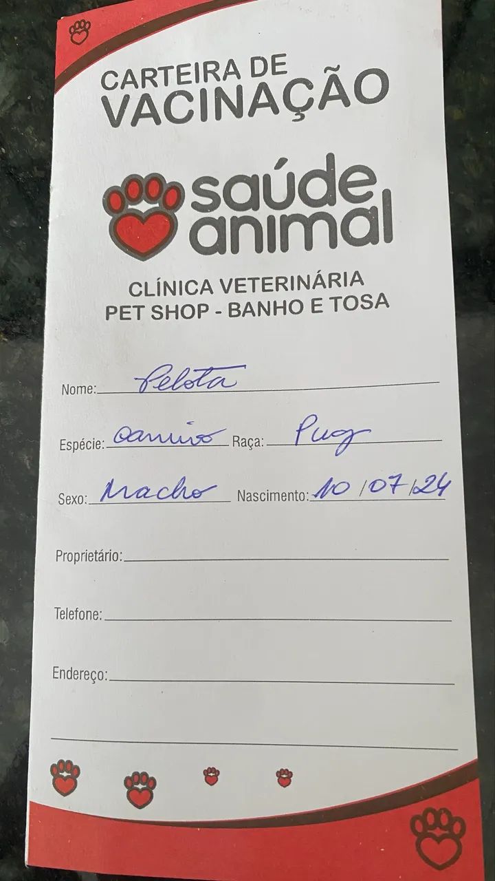 Vendo Pug pedigree macho barato - Foto 4