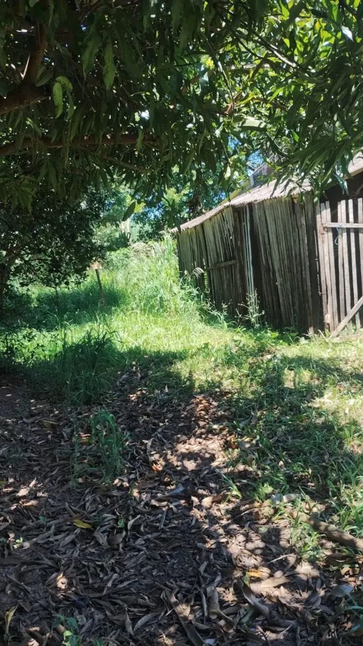 SITIO BEM LOCALIZADO CIDADE SABINO- SP - Foto 2