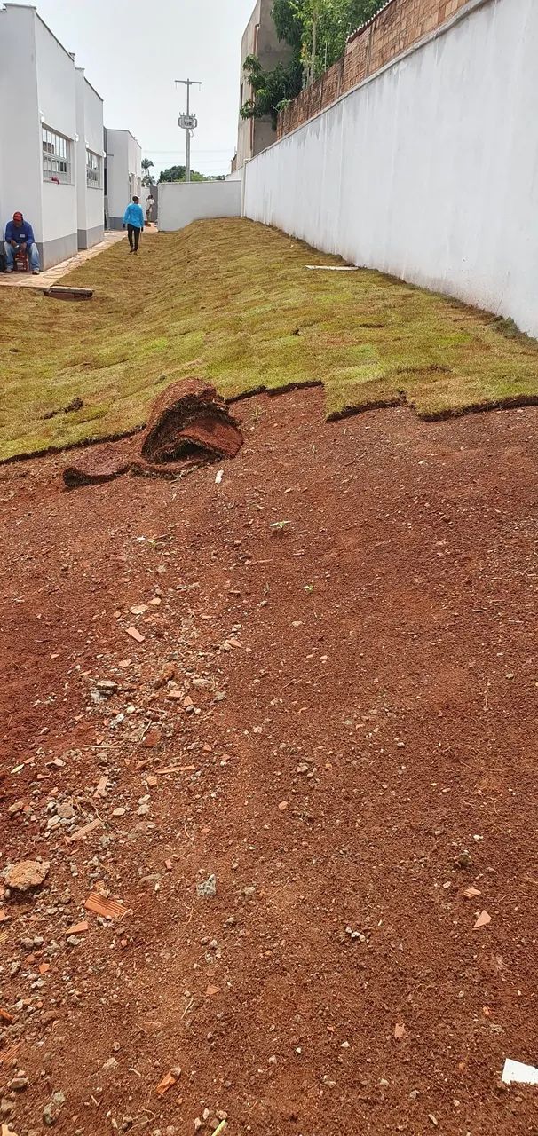 Jardinagem  - Foto 2