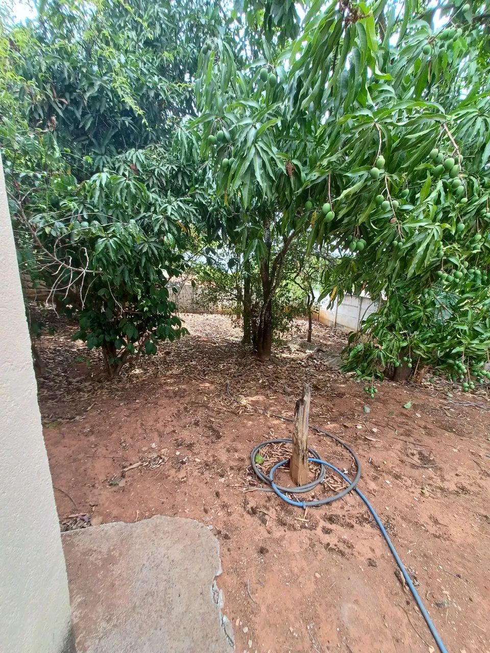 Casa de Campo em Mateus Leme - Foto 2