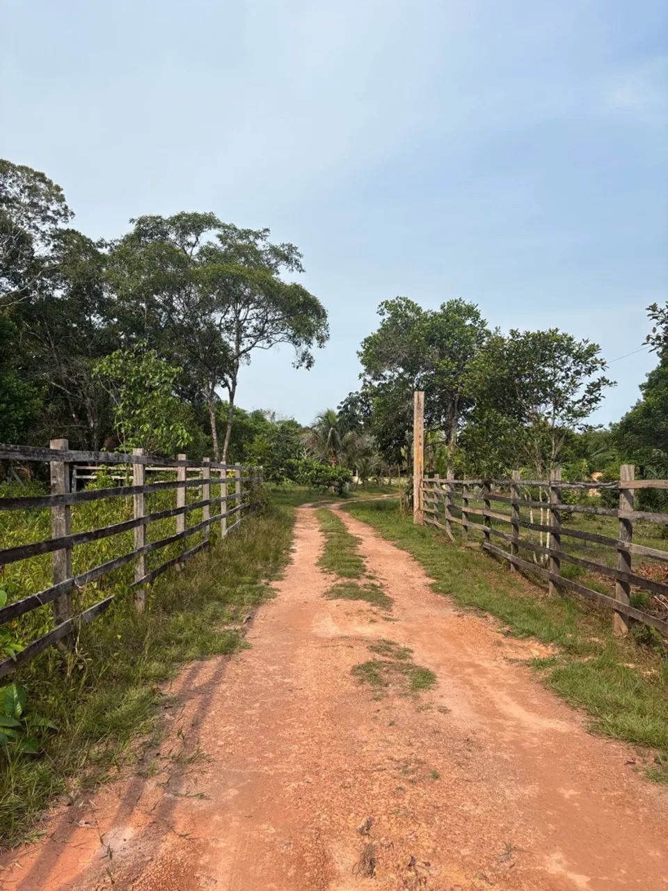 Sítio na BR 174 - KM 125 - Foto 2