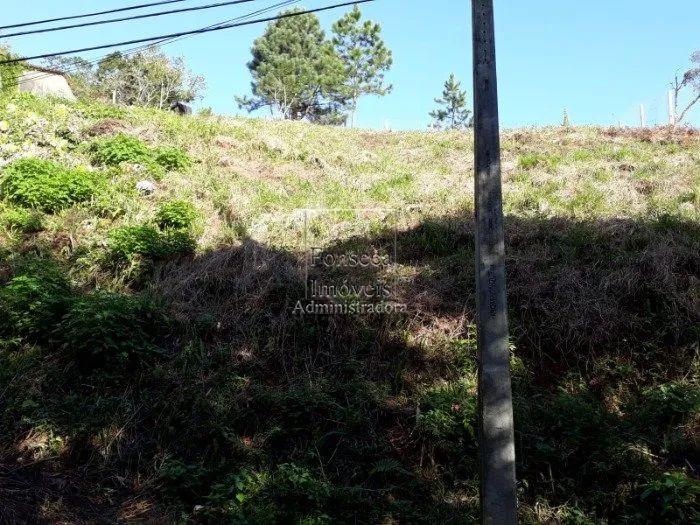 PETRóPOLIS - Terreno Padrão - Quitandinha - Foto 4