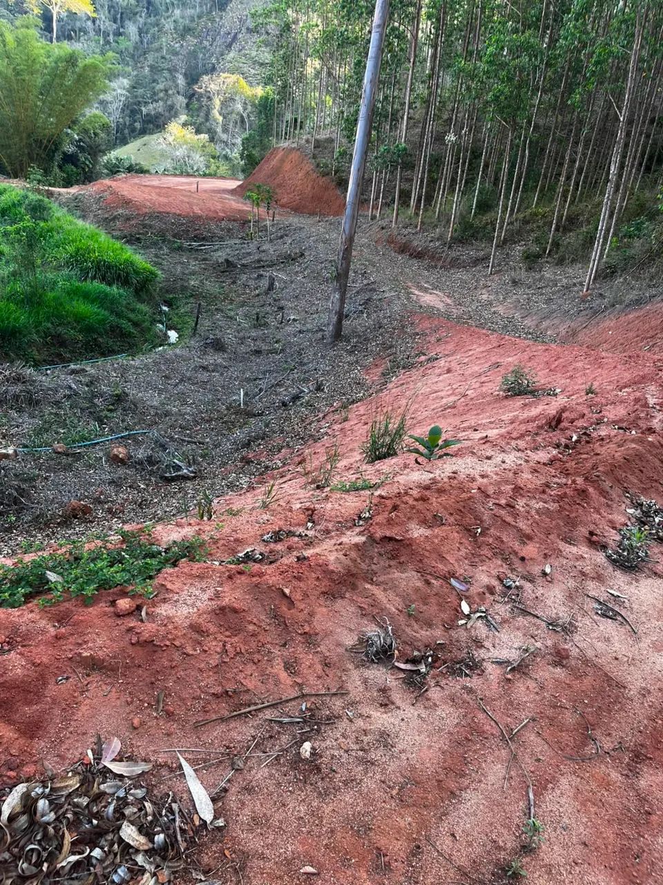 CHÁCARA EM SANTA LEOPOLDINA  - Foto 4