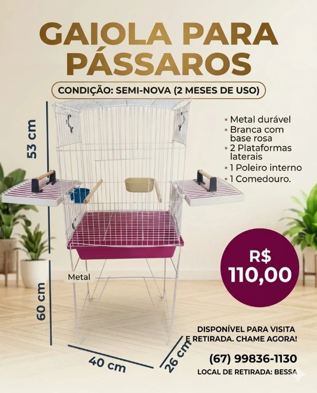 Gaiola Pássaros 