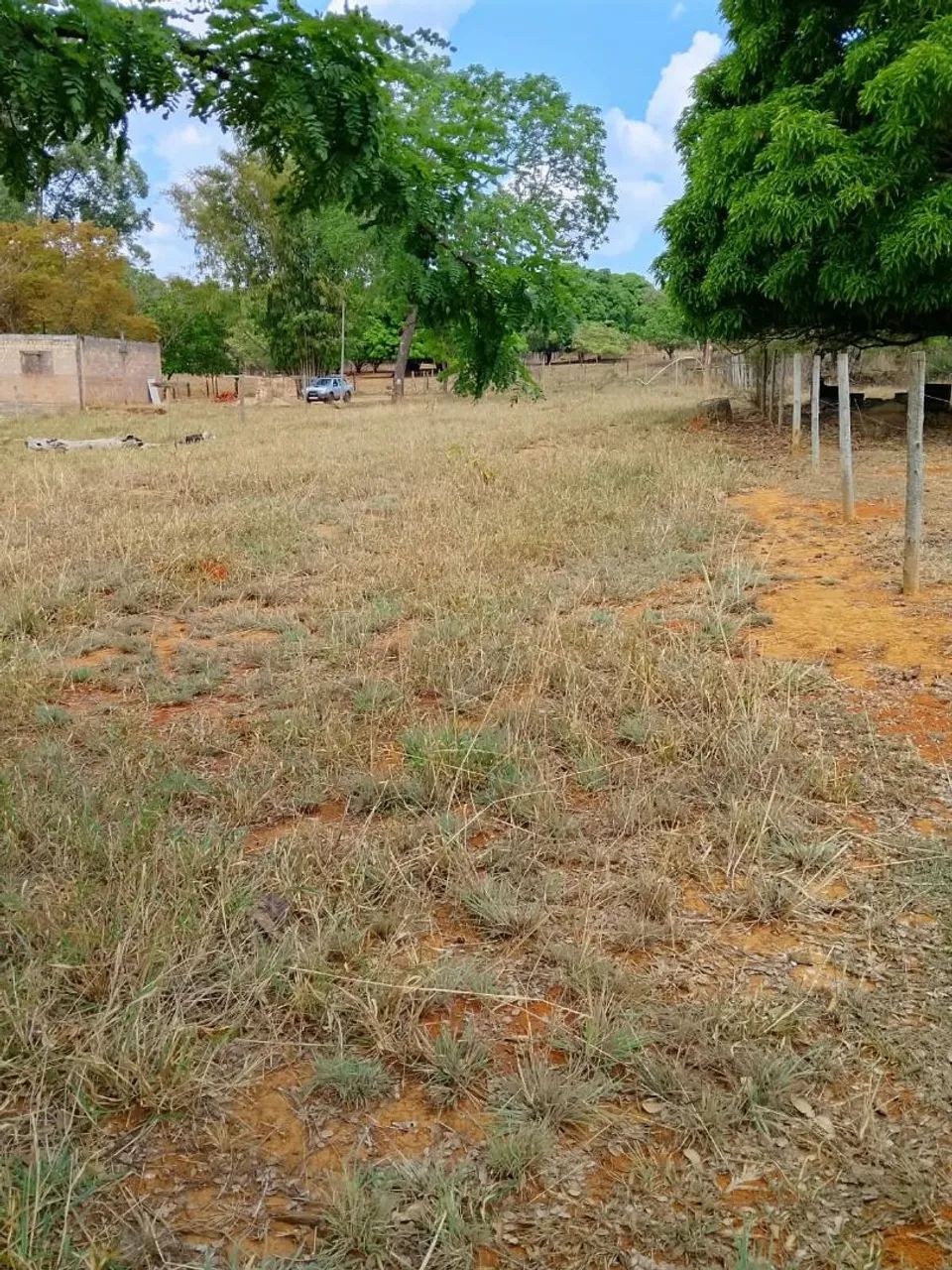 Chacara - Foto 5