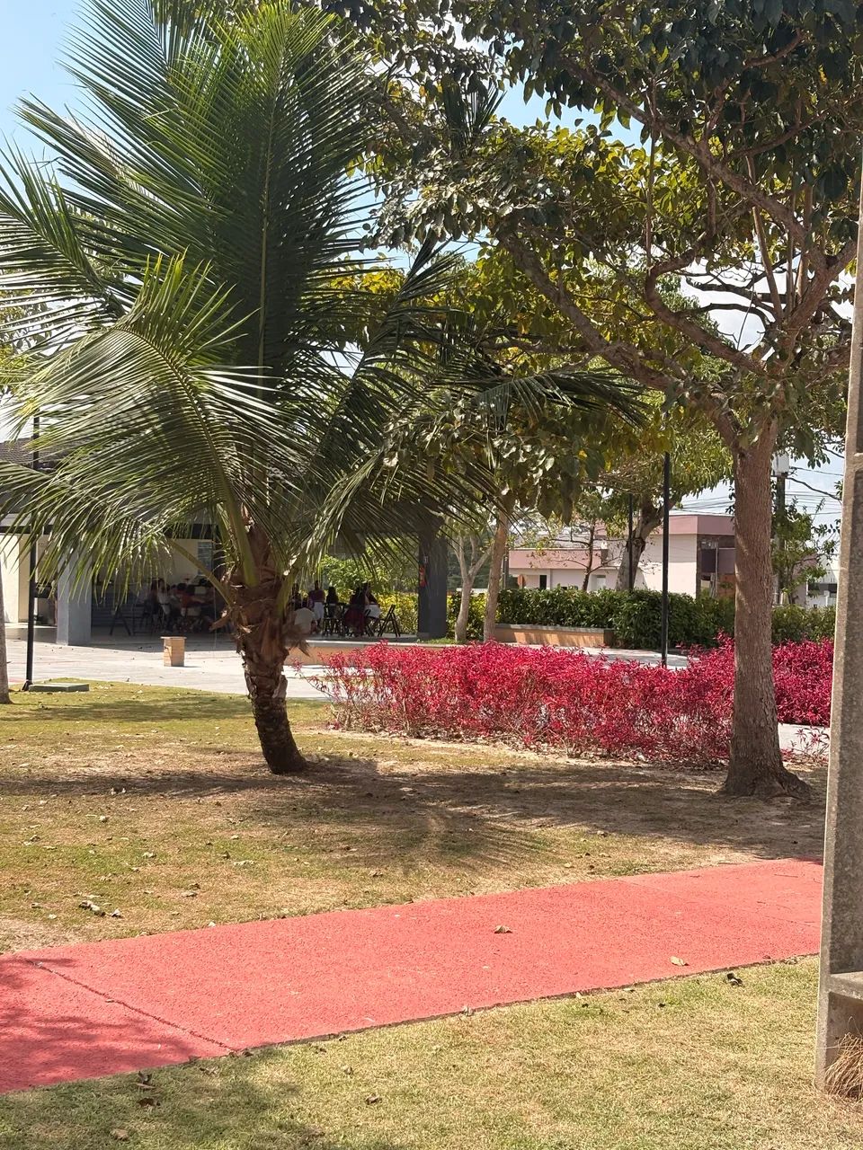 Terreno Quitado - Foto 4
