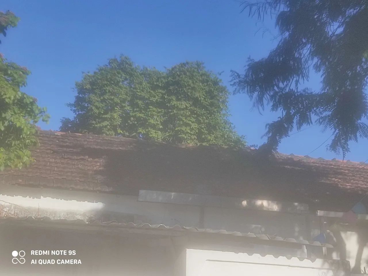 Doação de telhas inglesa - Foto 2