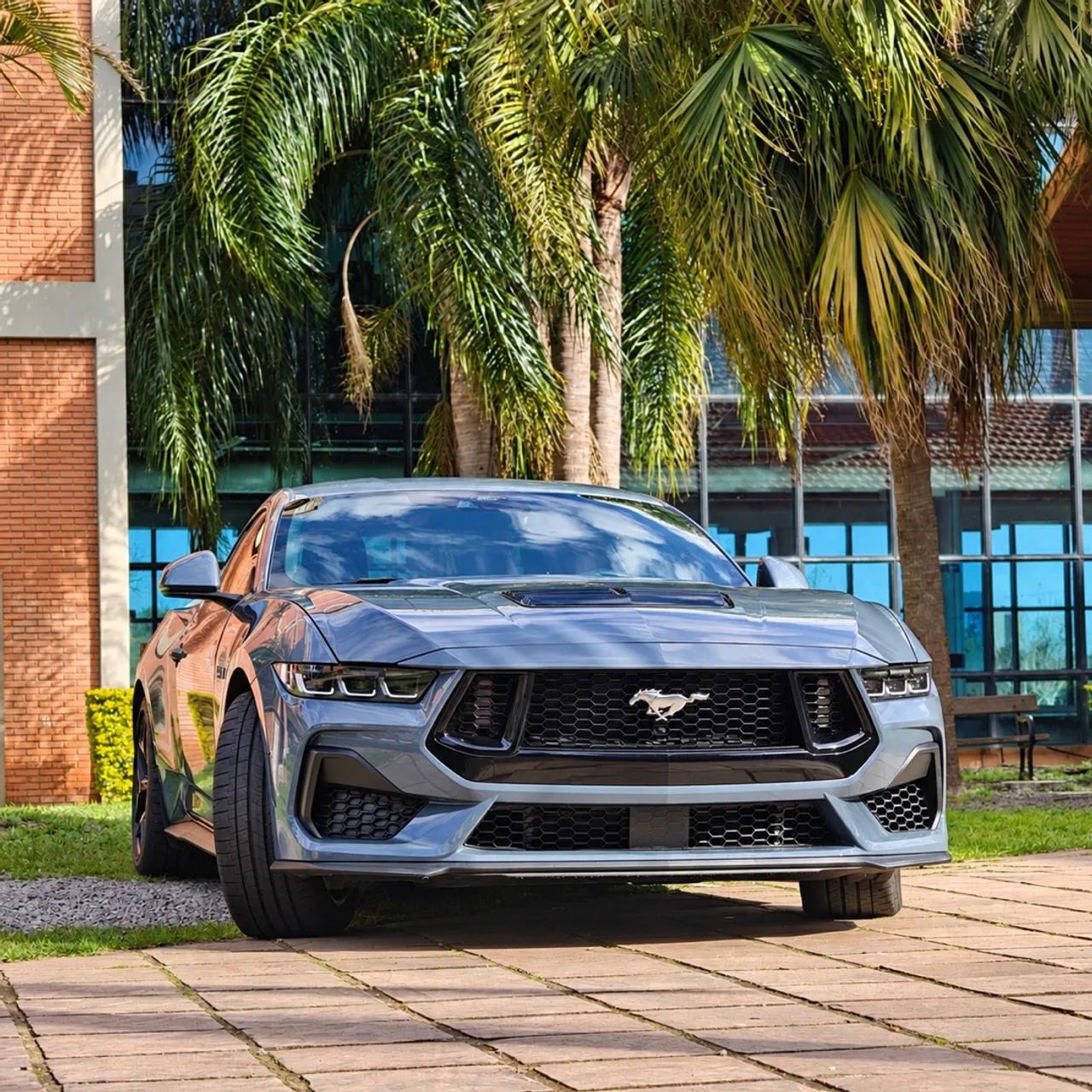 Ford Mustang Mustang GT Performance 5.0 V8 Aut. 2024