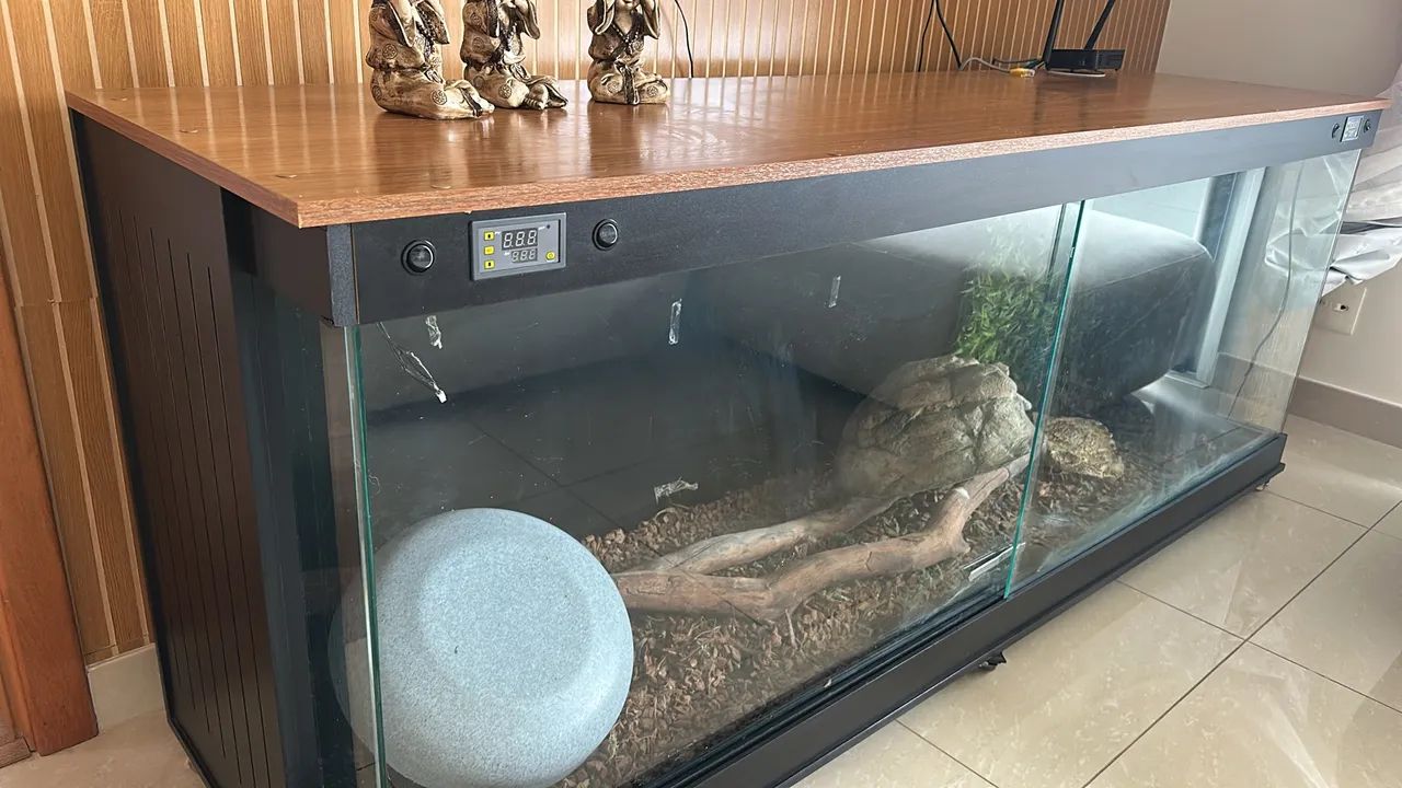 Terrario - Foto 3