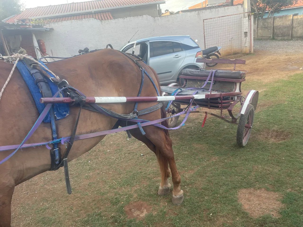 Vendeo charrete - Foto 3