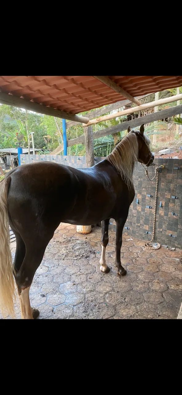 Filho do Ulisses Meaipe  - Foto 2