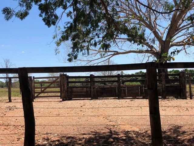 Fazenda - Paraíso do Tocantins/TO - Foto 7