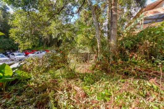 Terreno à venda em Vista alegre, Curitiba cod:144620 - Foto 6
