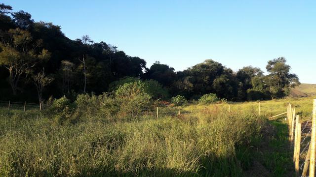 GRAMA - Residencial São Luiz (Kátia Corretora) - Foto 2